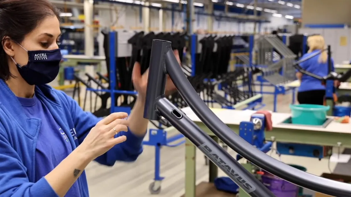 Electric Mobility Shakeups: Bike Maker Bankruptcy, Tesla FSD Reversal