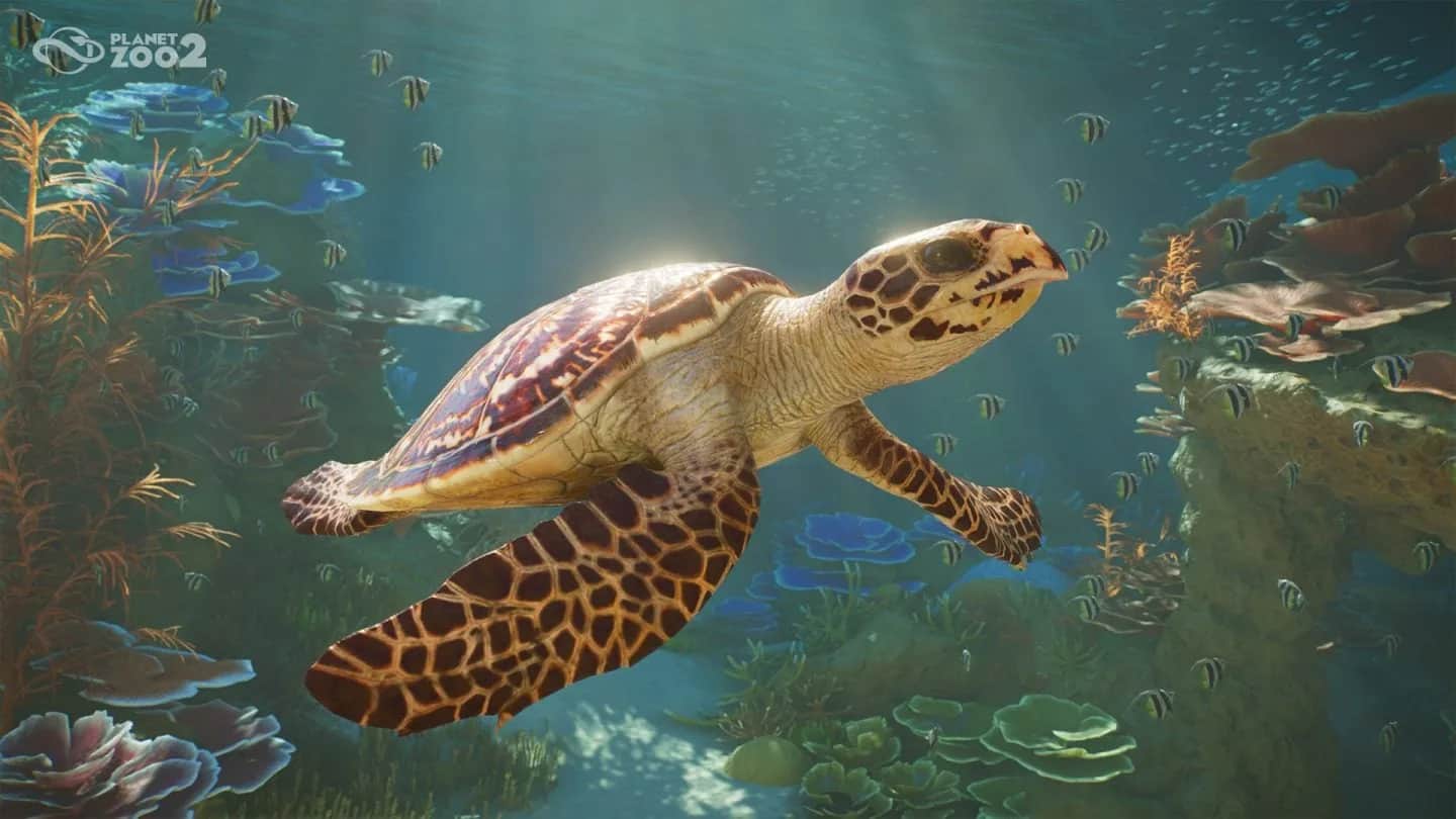 Planet Zoo 2 Reportedly Tops Original's Steam Peak
